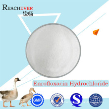 GMP Pharmaceutical Grade Veterinary Enrofloxacin Hydrochloride